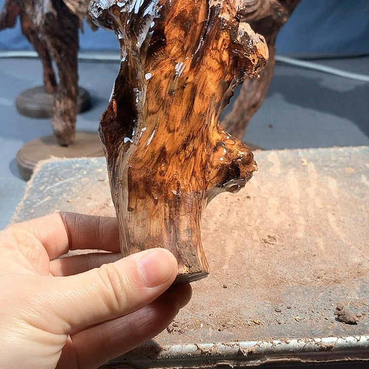 黄花梨/降香黄檀用****3