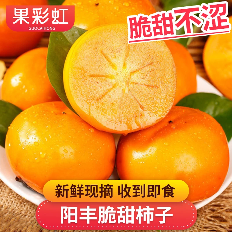 【果彩虹】阳丰脆甜柿子1.5-5斤新鲜采摘脆甜不涩新鲜应季水果好吃