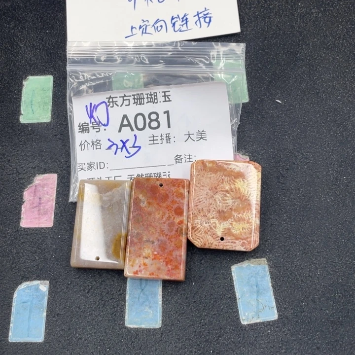6***8硅化珊瑚（珊瑚玉）合金颈饰