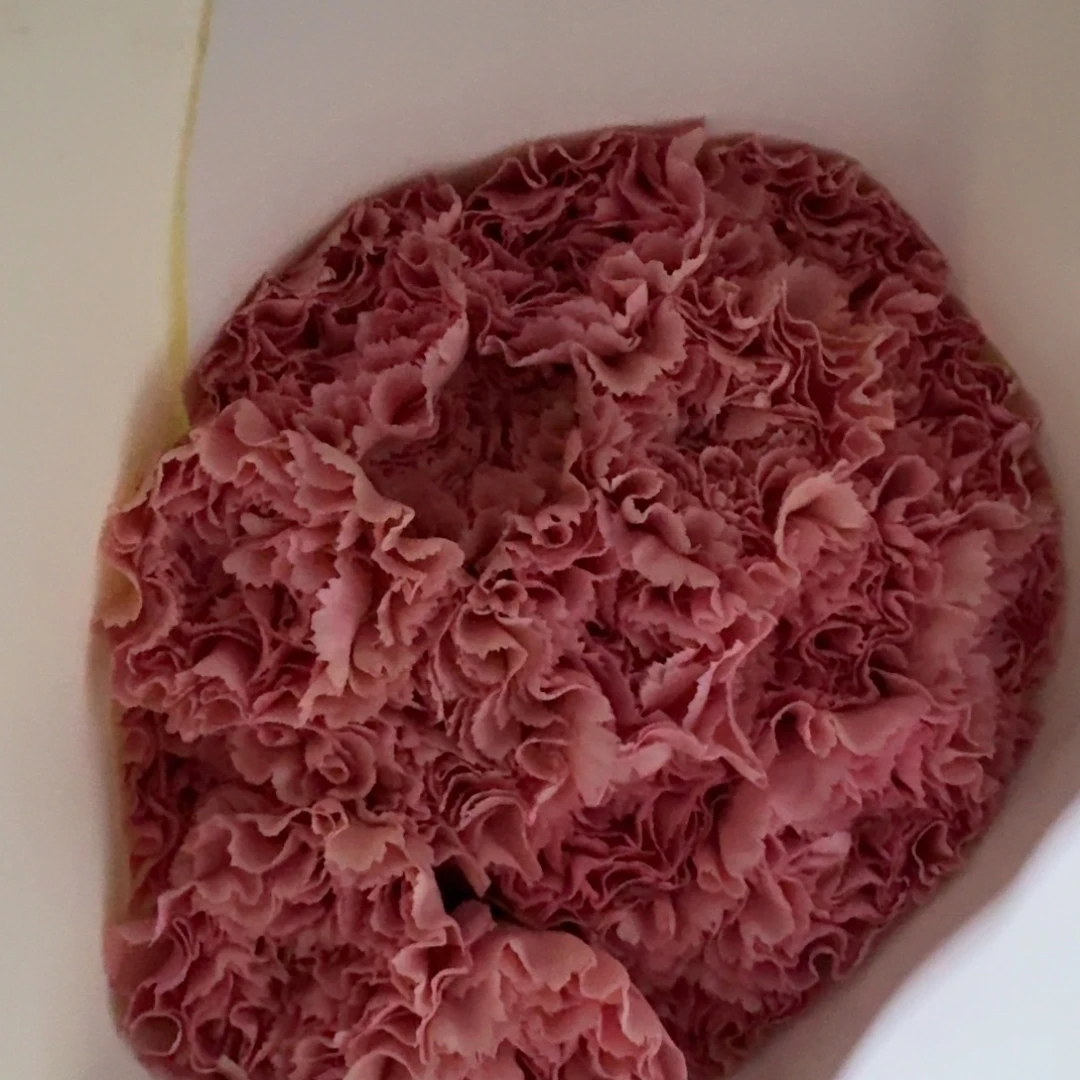 粉钻康4扎包邮秒杀
