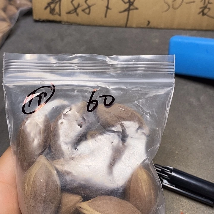 橄榄核手串/手链辰橄榄核