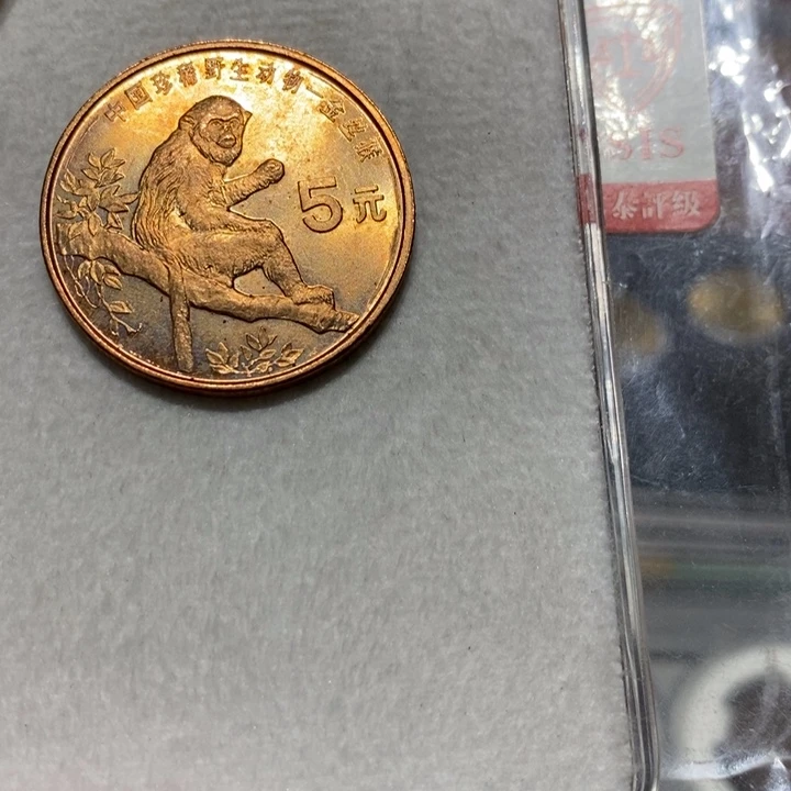珍稀动物金丝猴一枚流通品