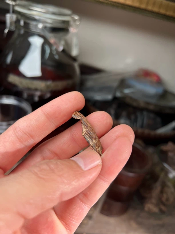 海南包头 沉水 重0.93克