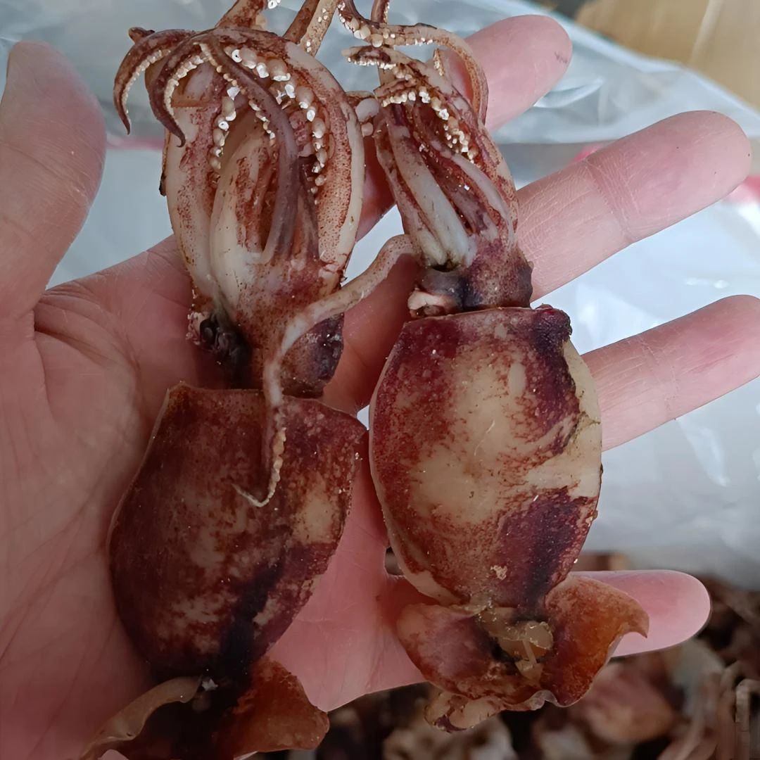 北海鱿鱼脆筒干 淡晒海兔干渔民自晒爆炒美味500g