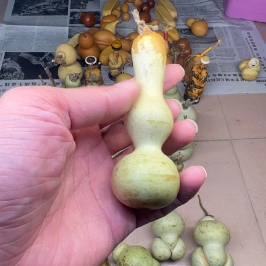 墨***落葫芦葫芦葫芦葫芦葫芦葫芦