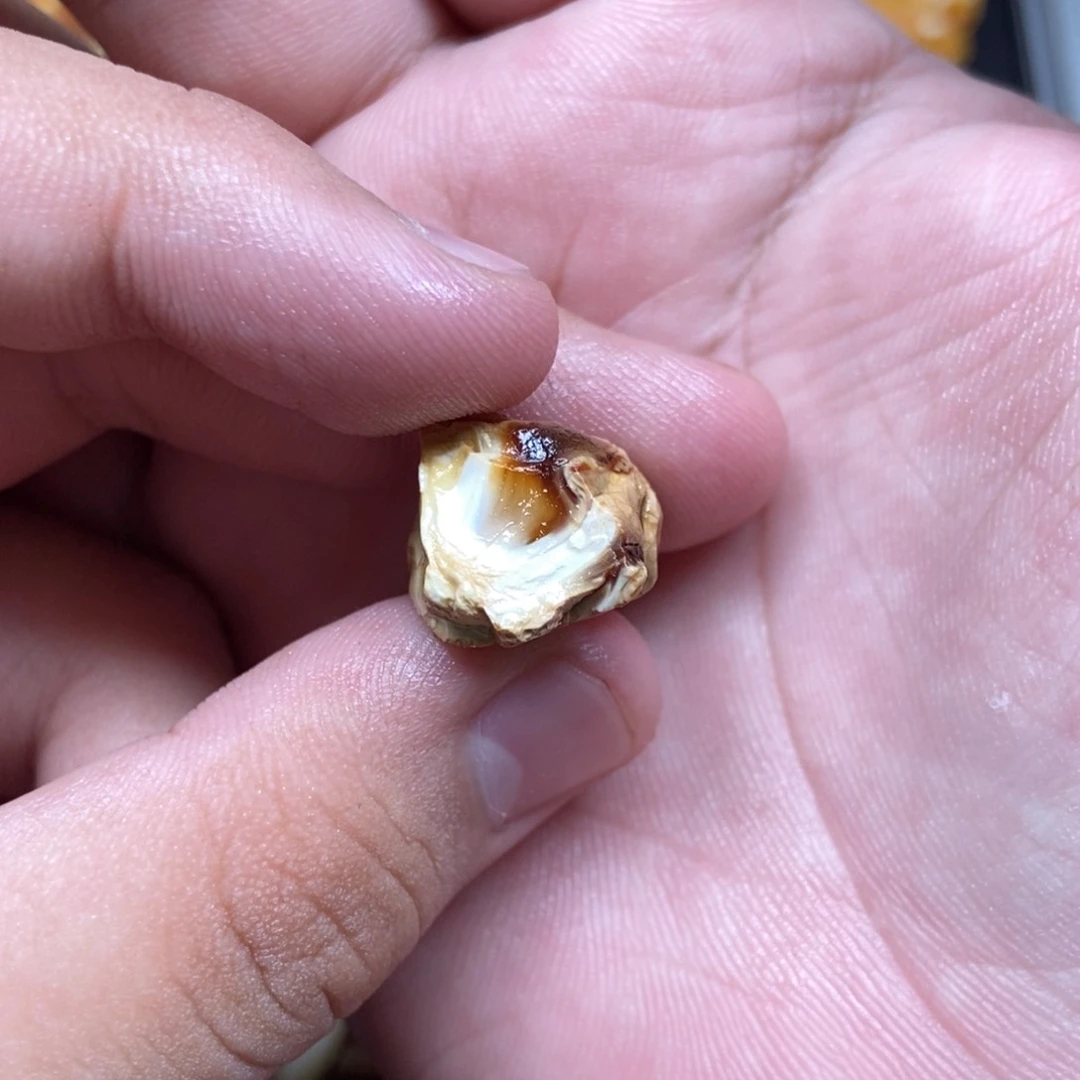 定制琥珀未镶嵌一****6定制