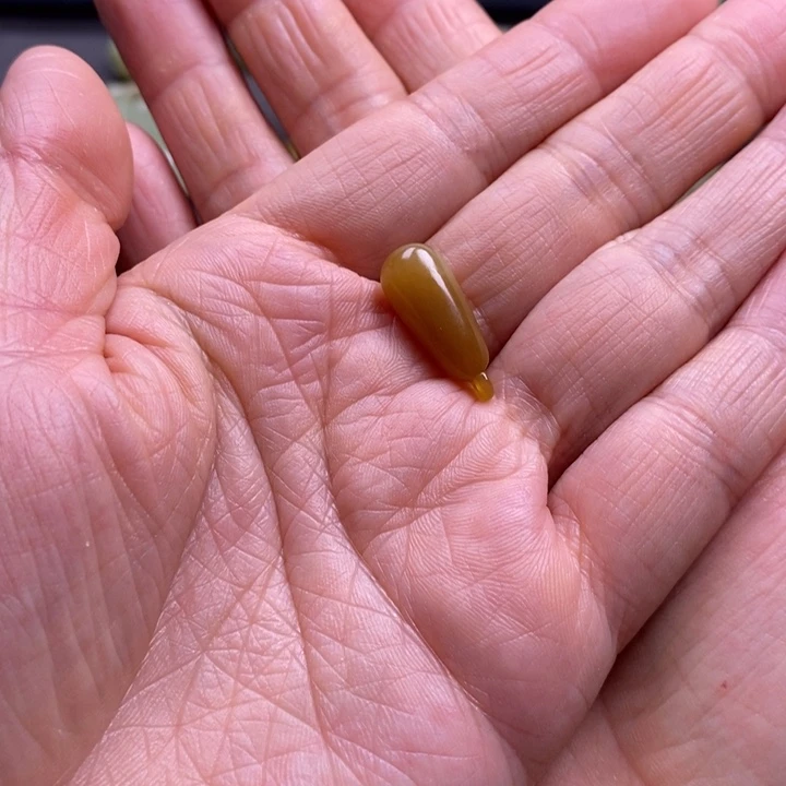 和田玉颈饰未镶嵌趁**?