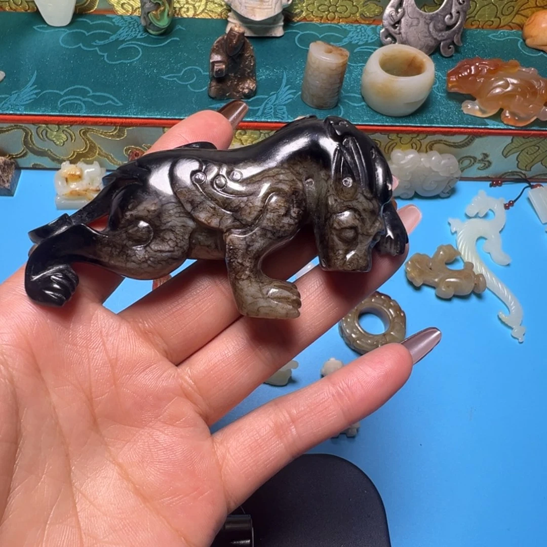 小动物……………………………………