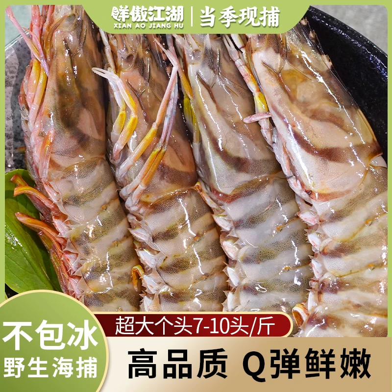 舟山竹节虾海捕斑节虾鲜活冷冻基围虾超大虎虾大海虾海鲜水产食用