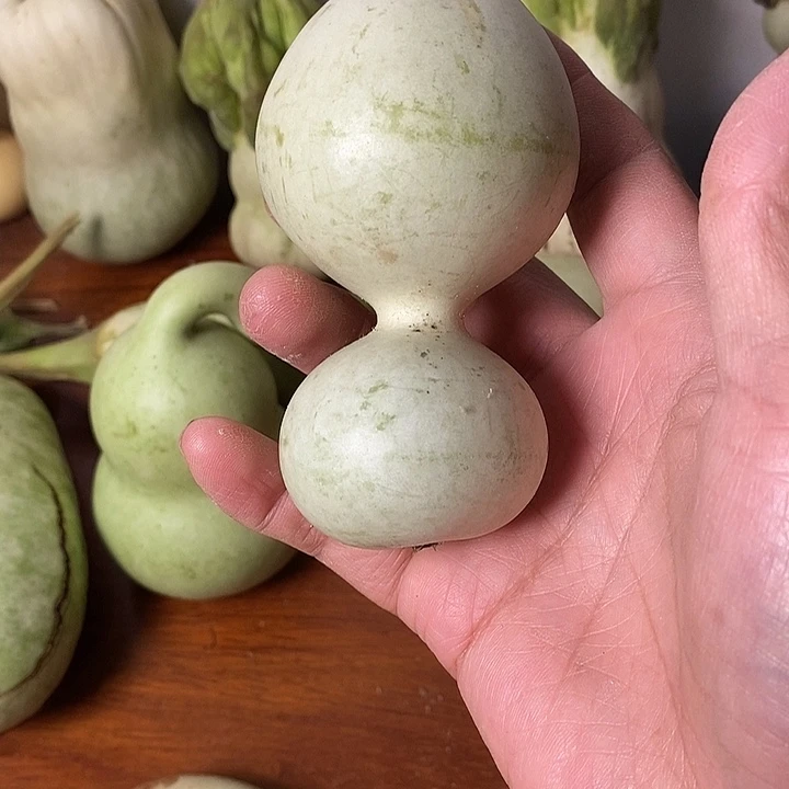 妙***青皮葫芦手把件摆件