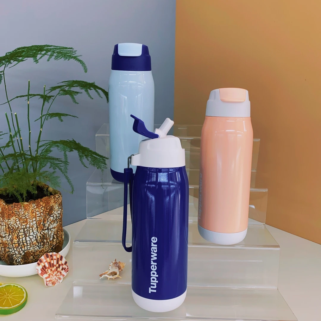 510ml吸管保温杯水壶吸管杯便携水杯➕送相伴小杯（下单备注颜色）