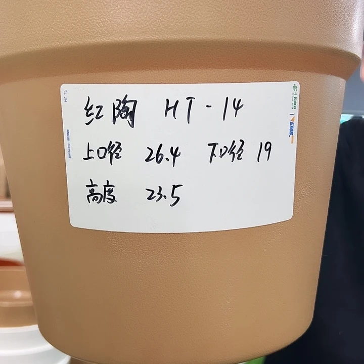 正品红陶口26高23.5白色4只无托