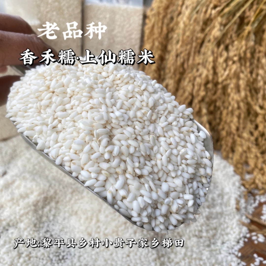 贵州省黎平县乡村小贵子家乡地域性优质老品种香禾糯上仙糯米包邮