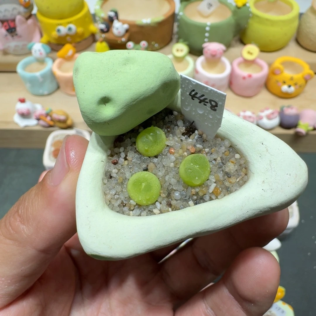 蘑菇201拉登拉登