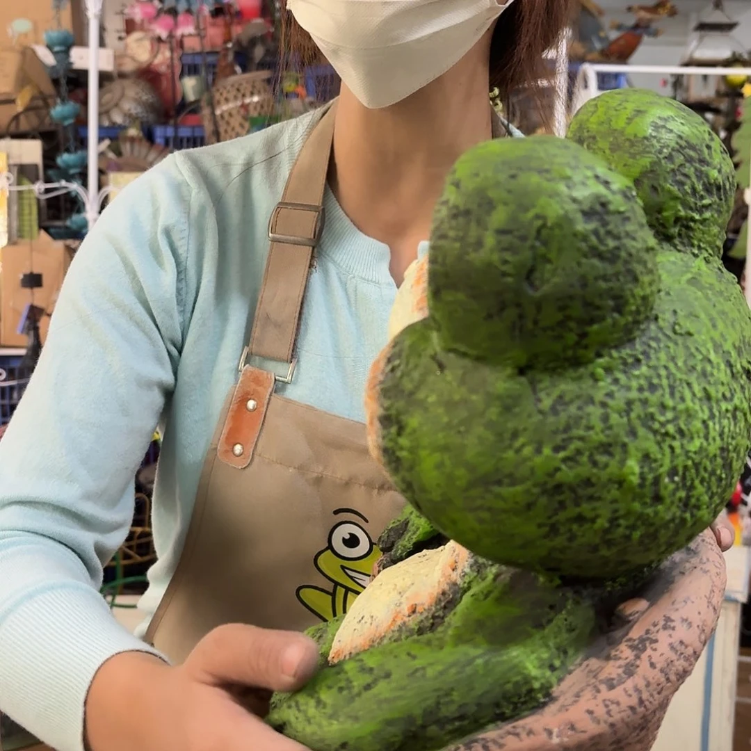 核桃木/黑胡桃（胡桃木）