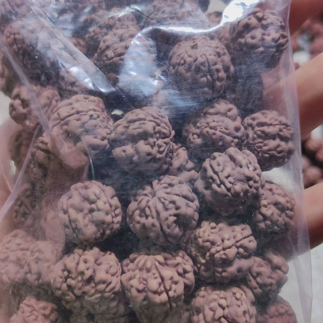 金刚菩提吊坠金刚菩提散籽一包