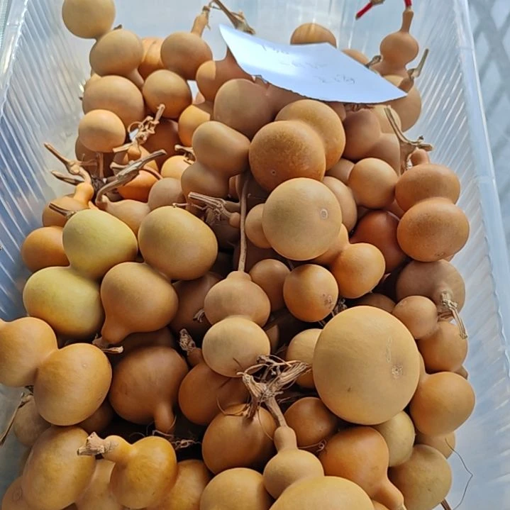 二***红八宝葫芦微瑕八宝