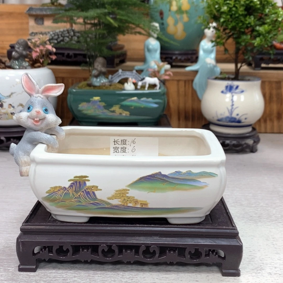 紫砂花盆紫砂花盆抢购活动开始