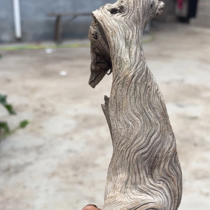 柏木（崖柏）冰*太好崖柏