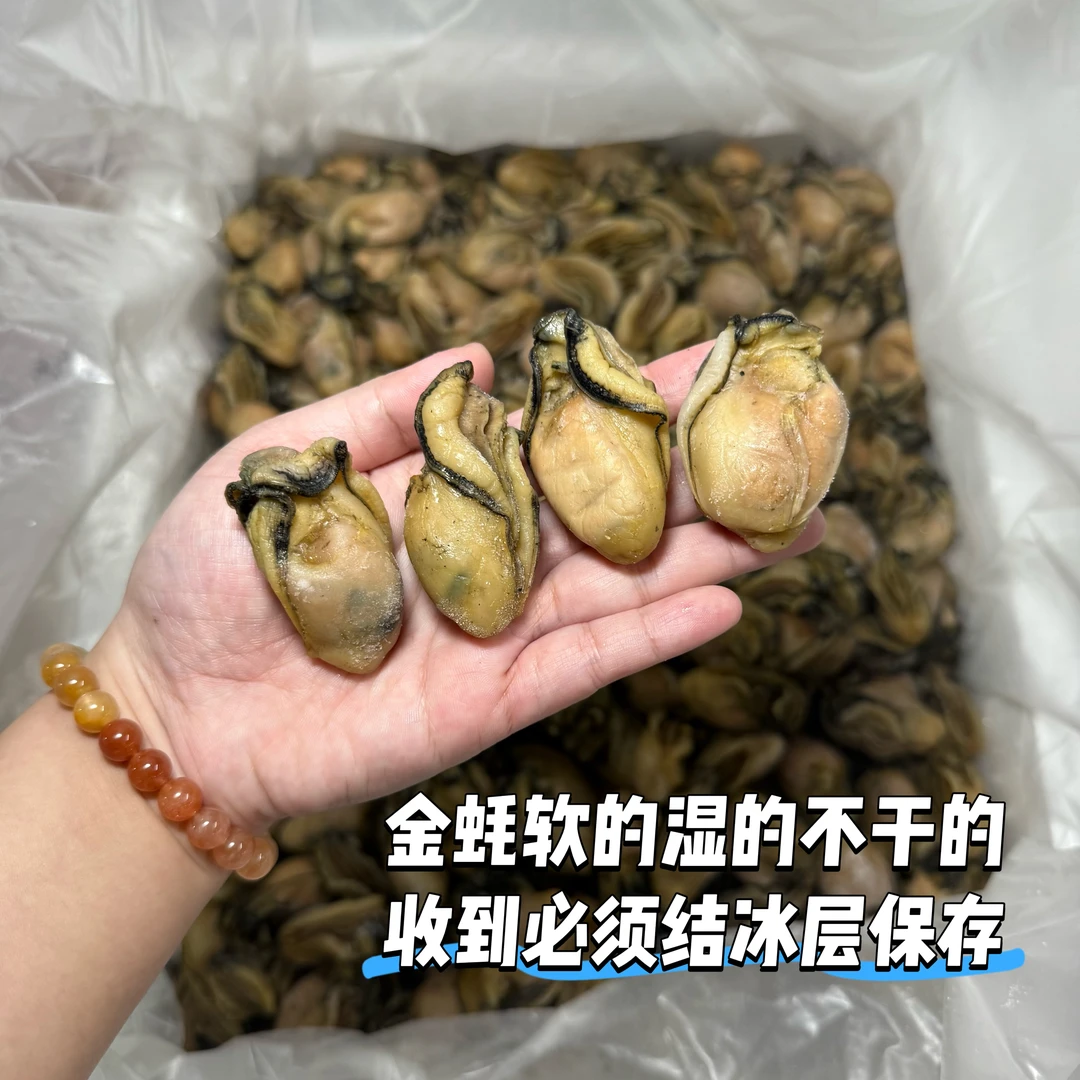台山金蚝 没有抽油 不干的软的 香煎焖煮煲汤原汁原味冷冻保存