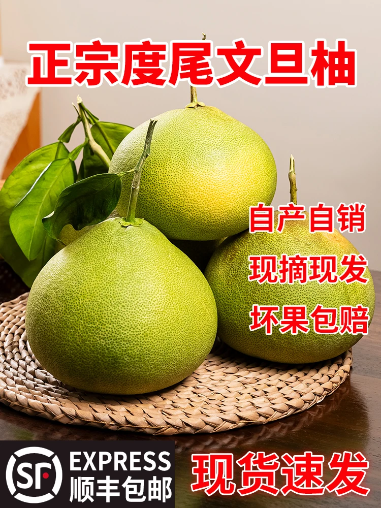 福建仙游度尾文旦柚新鲜应季蜜柚酸甜多汁