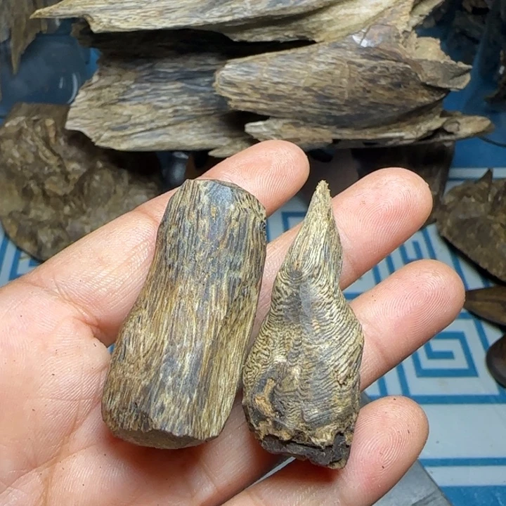 木质母树绿奇大树丁13.2克