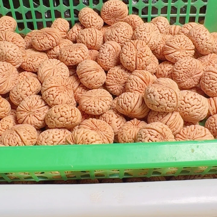 吊坠桃核龙鳞飞碟散籽30粒