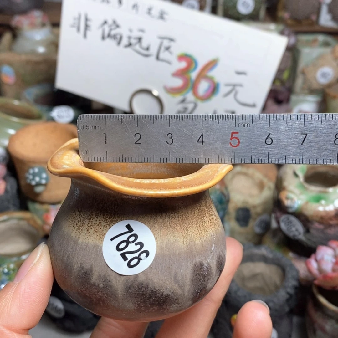 花盆拍5送一个小礼物