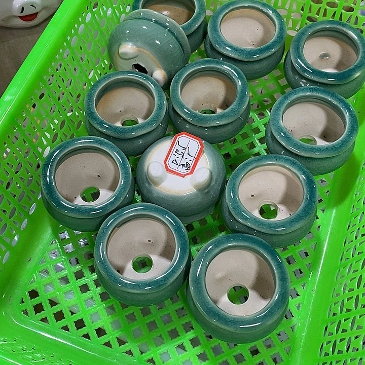 花盆抢购清货马上开始