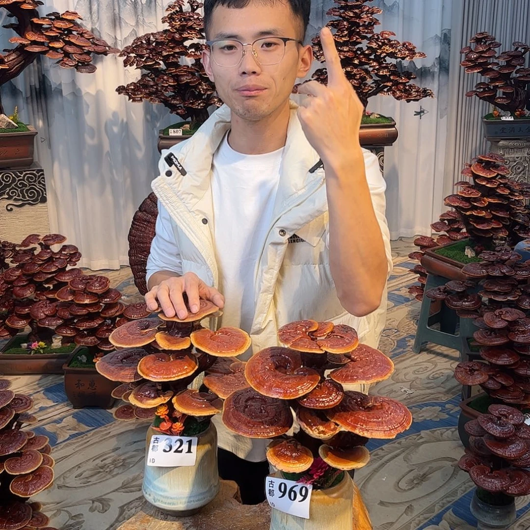 无花朵88888888888