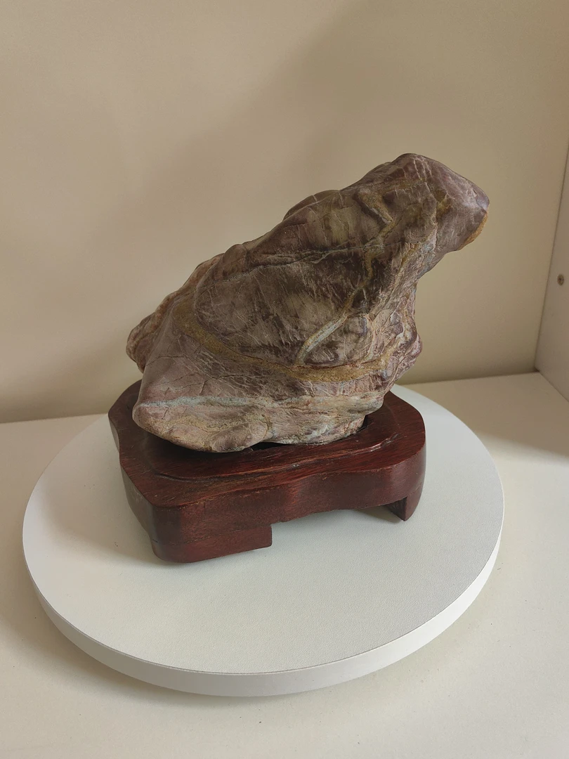 灵璧彩石呱呱来财金蝉办公室家居摆件