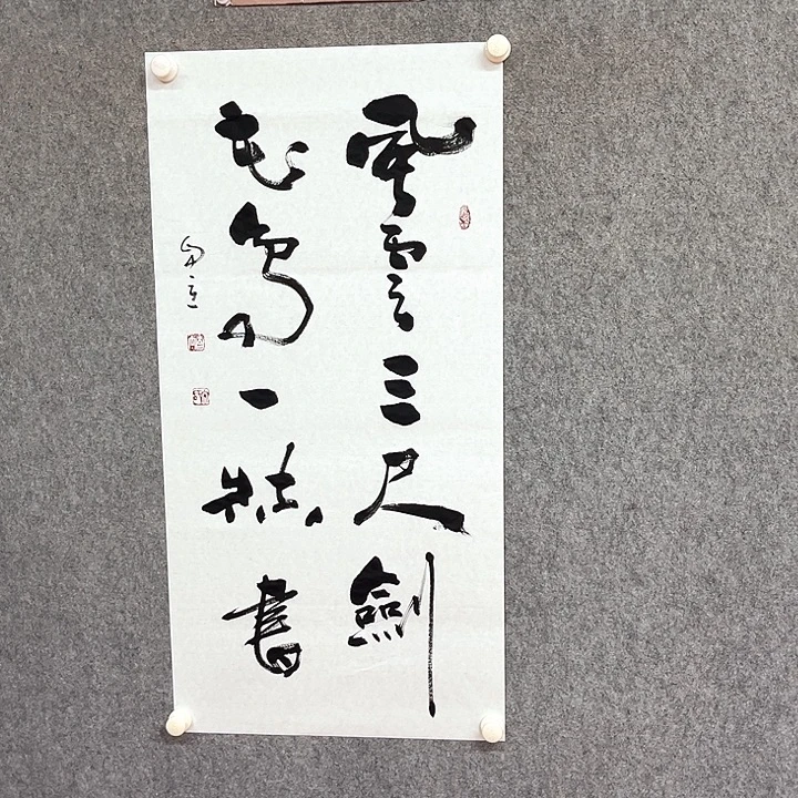 书法风云三尺剑作品