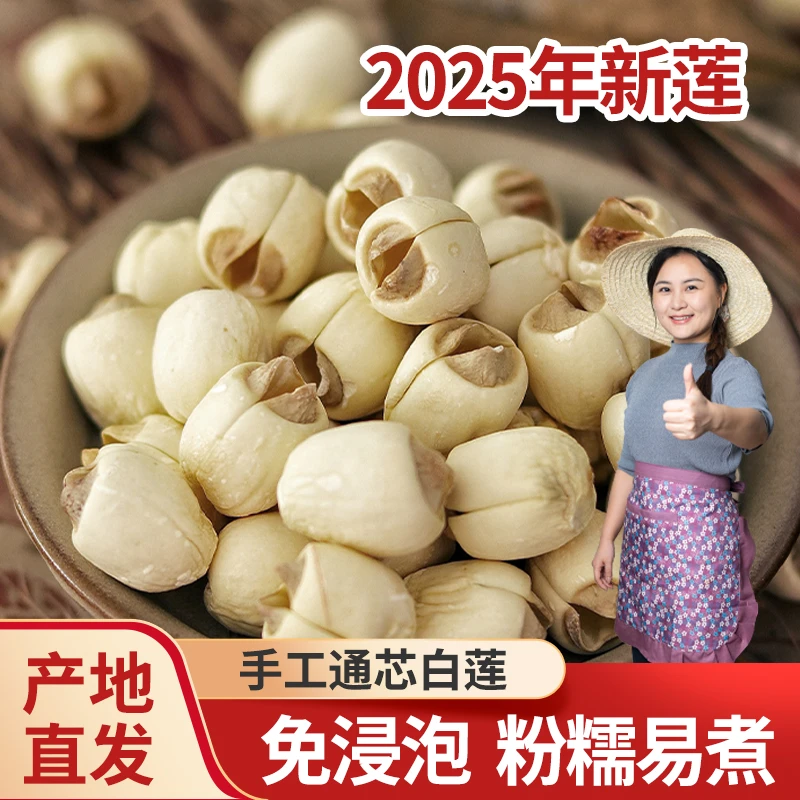 【小茵姑娘】2025新货手工通芯白莲子500g/250g大颗粒去心粉糯清香