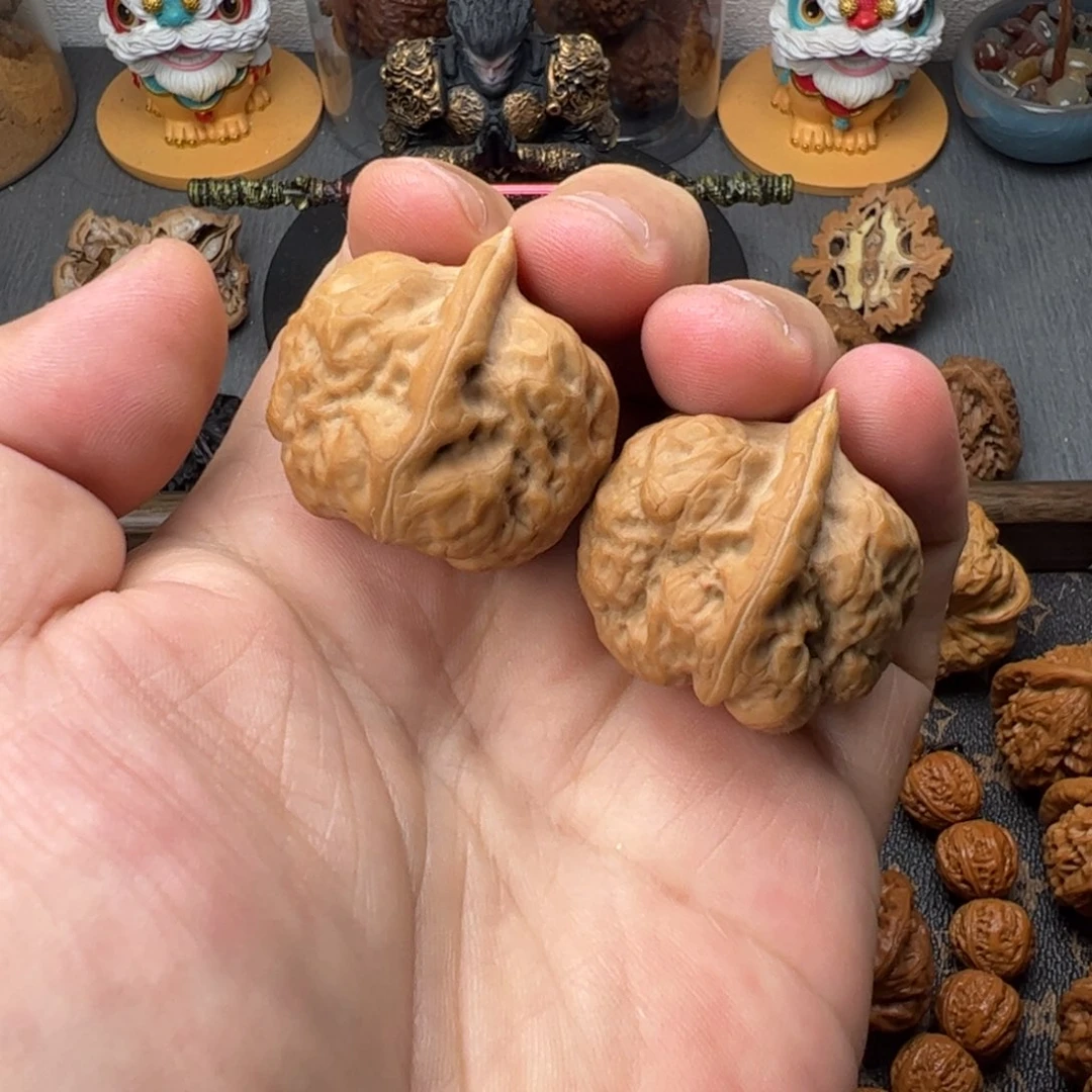 36平谷古蝉有黄111111