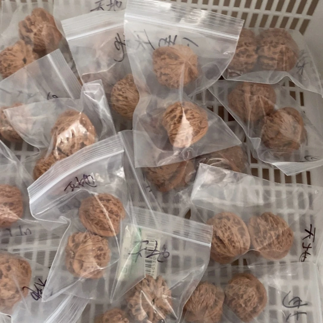 文玩核桃吊坠天地有瑕疵