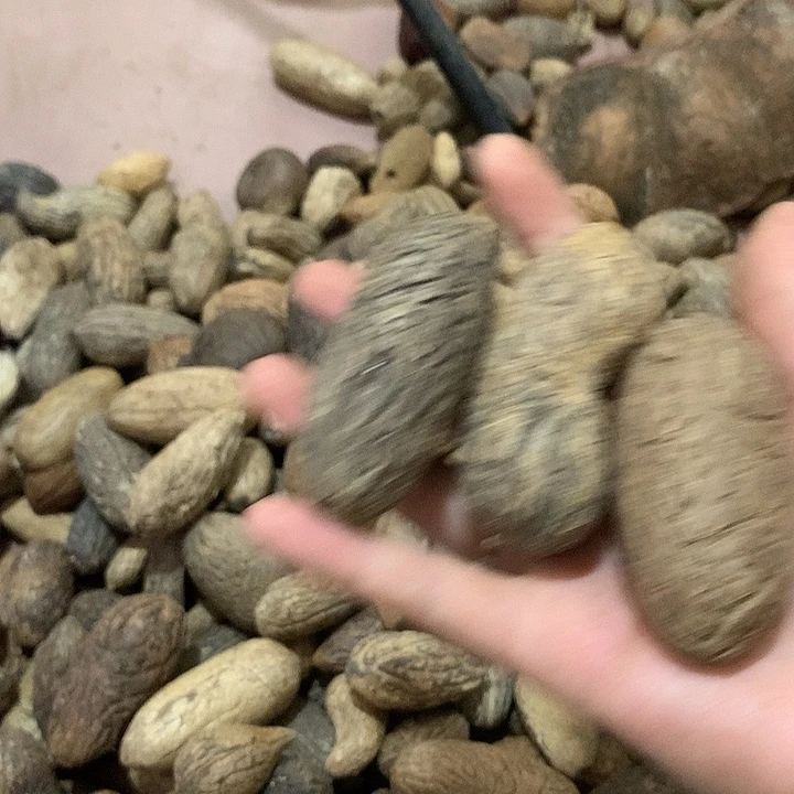 千眼菩提吊坠那*菩提