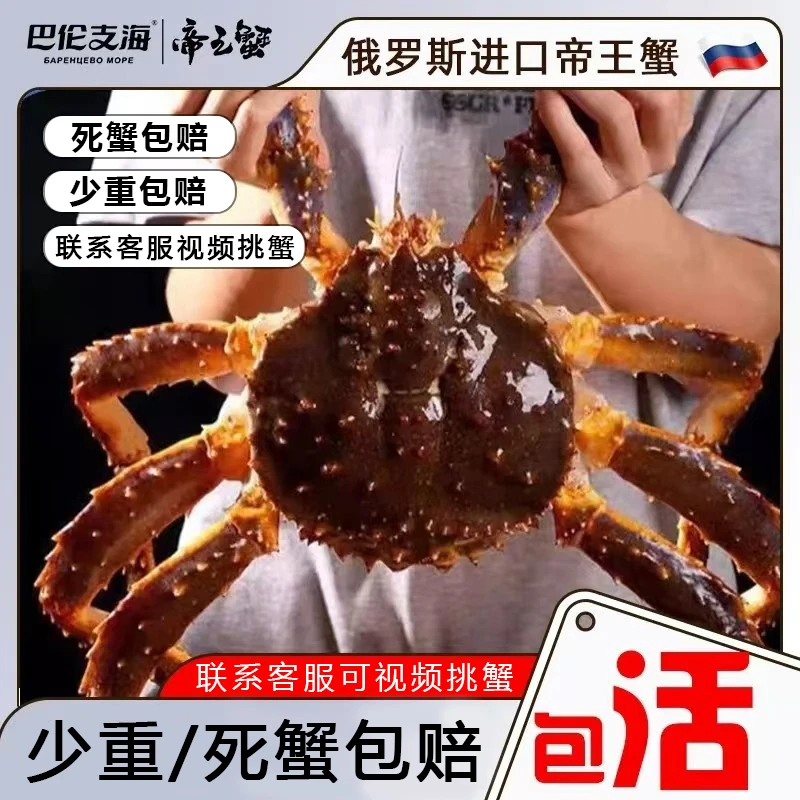 [包活]黄金帝王蟹2.00-2.50斤/只 俄罗斯进口巴伦支海帝王蟹鲜活送达适合生日聚会团建聚餐节日送礼