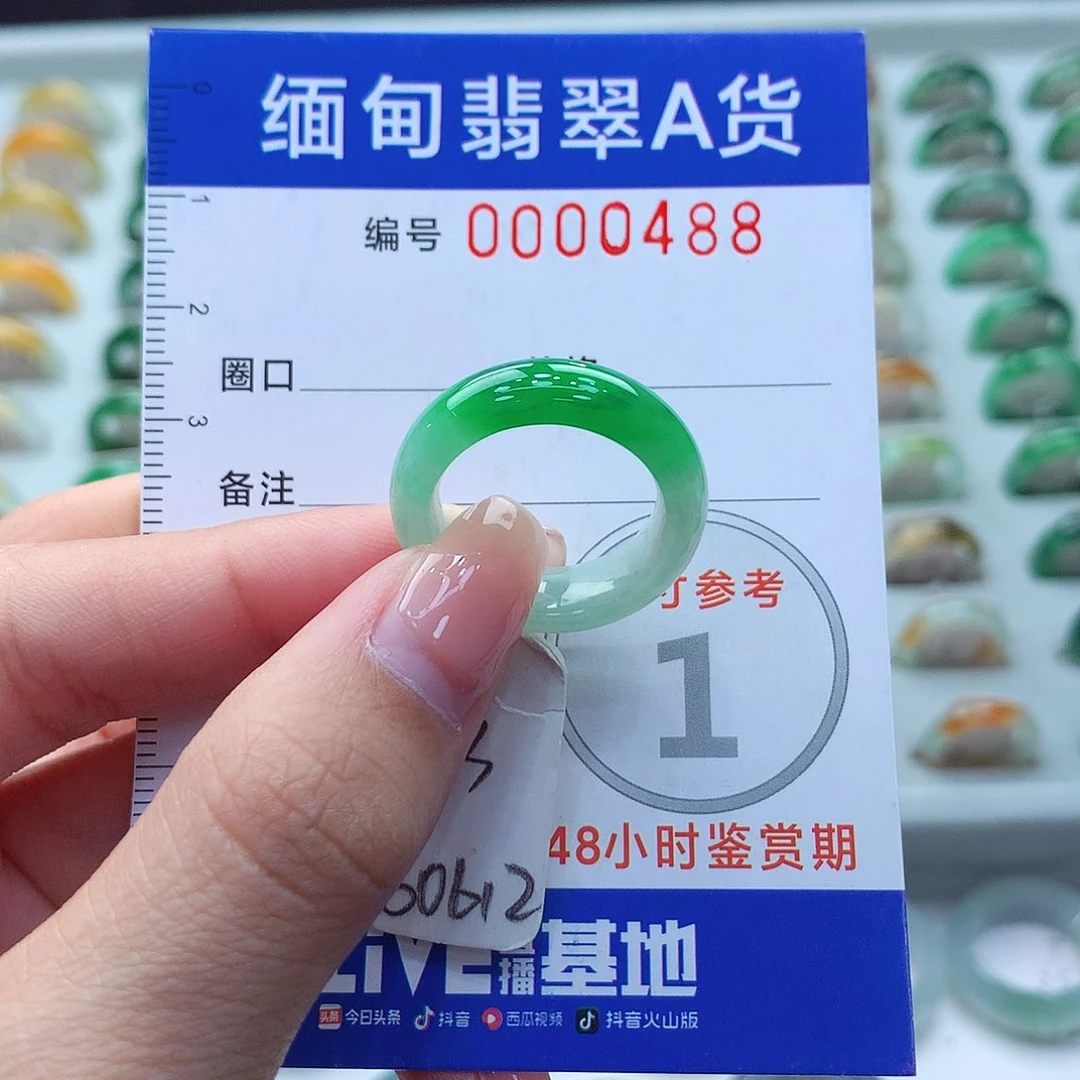 未镶嵌戒圈翡翠13号