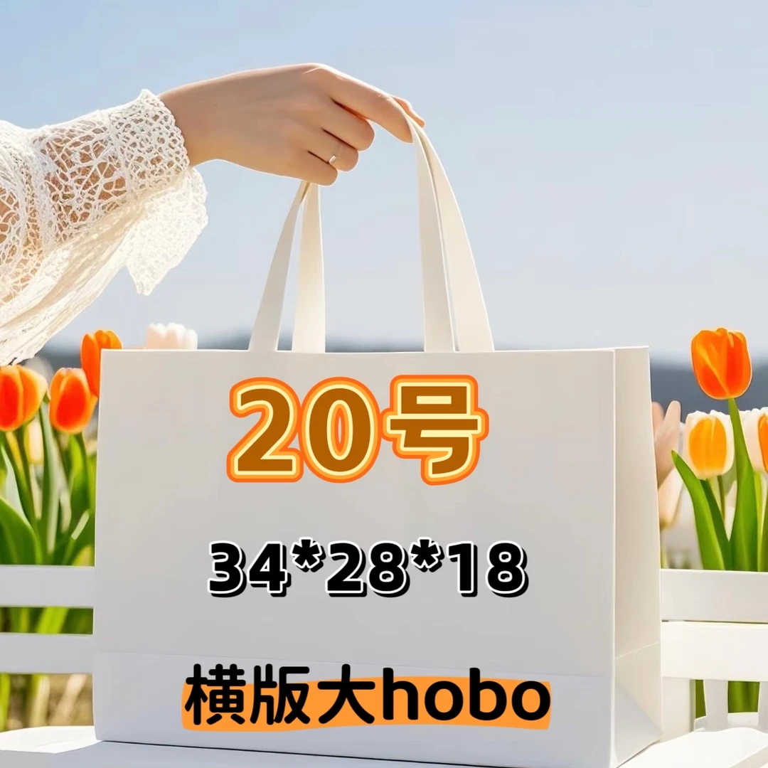 20号（S）时尚百搭潮流必备腋下横版Hobo单肩包
