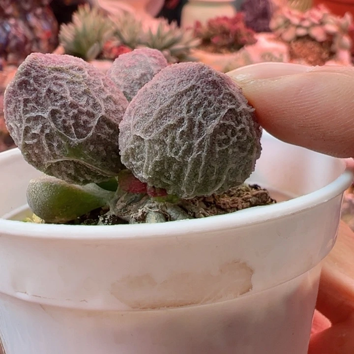 槑***⁵可以吗你在干嘛呢你在干