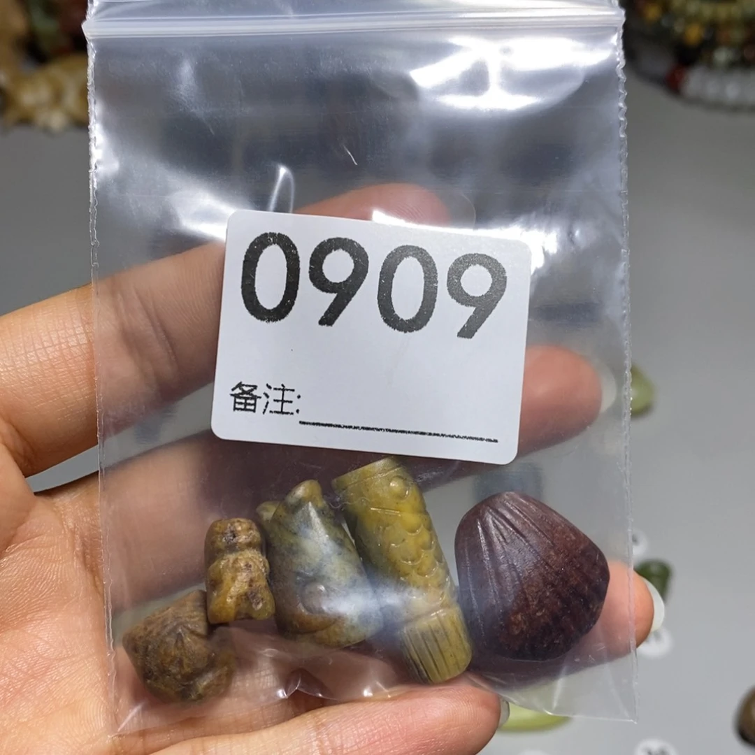 颈饰未镶嵌透闪石质玉⁽****⁾