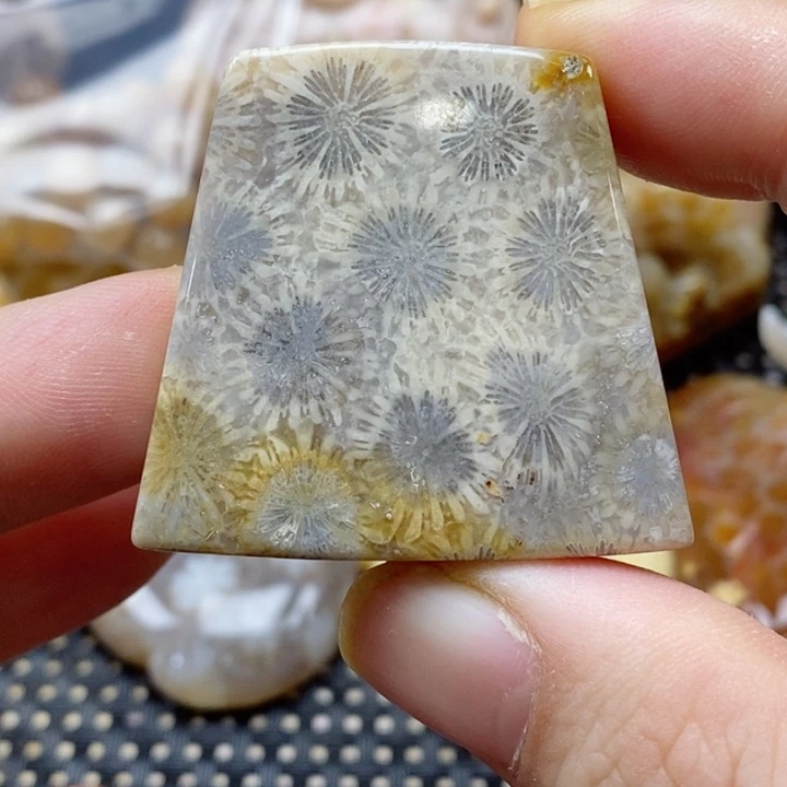 硅化珊瑚（珊瑚玉）颈饰未镶嵌