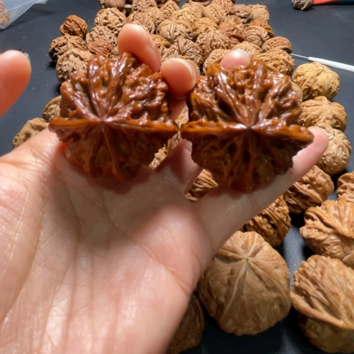 野牛六棱40尺寸核桃哈哈哈哈哈哈哈哈哈