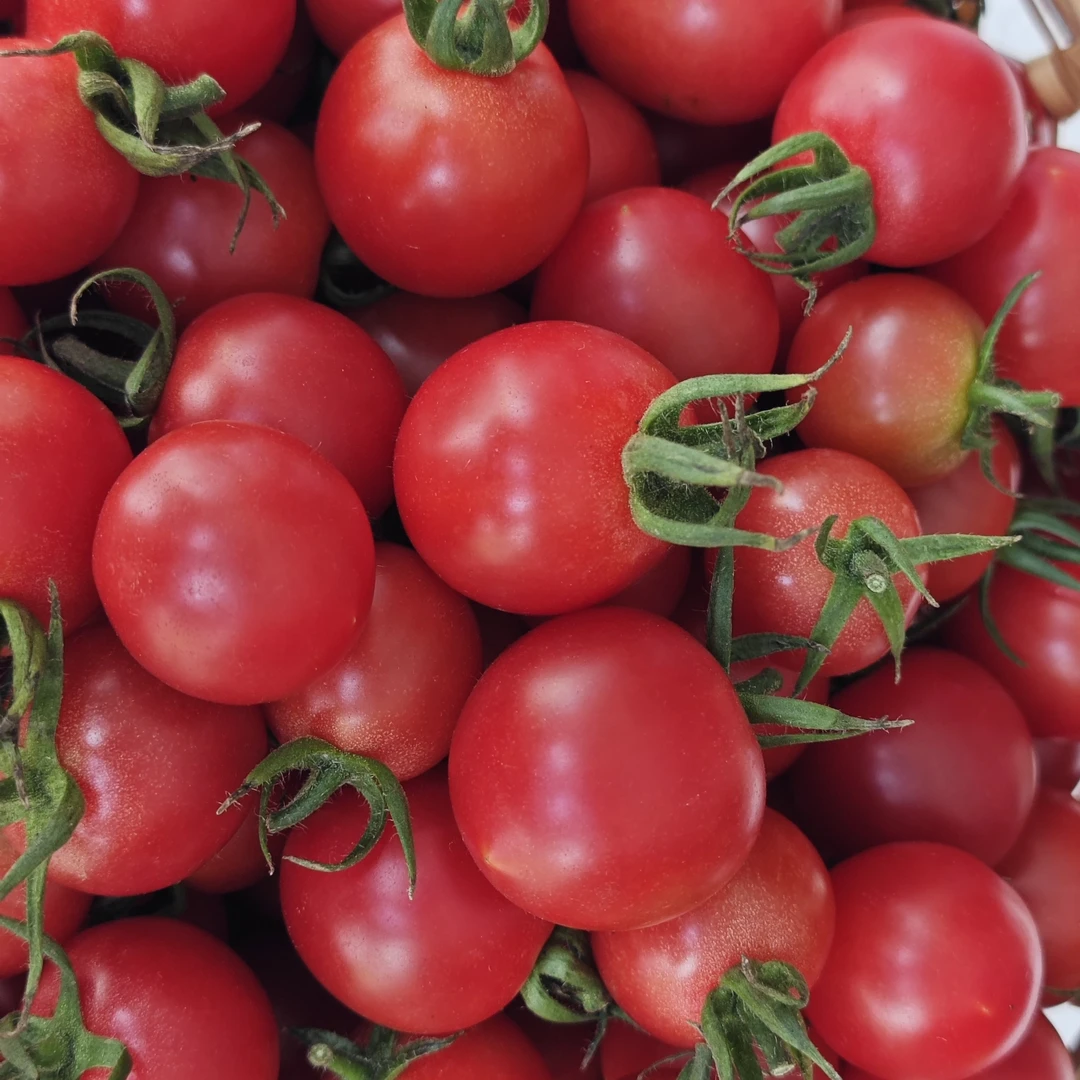 百里杜鹃本土农产品（10）