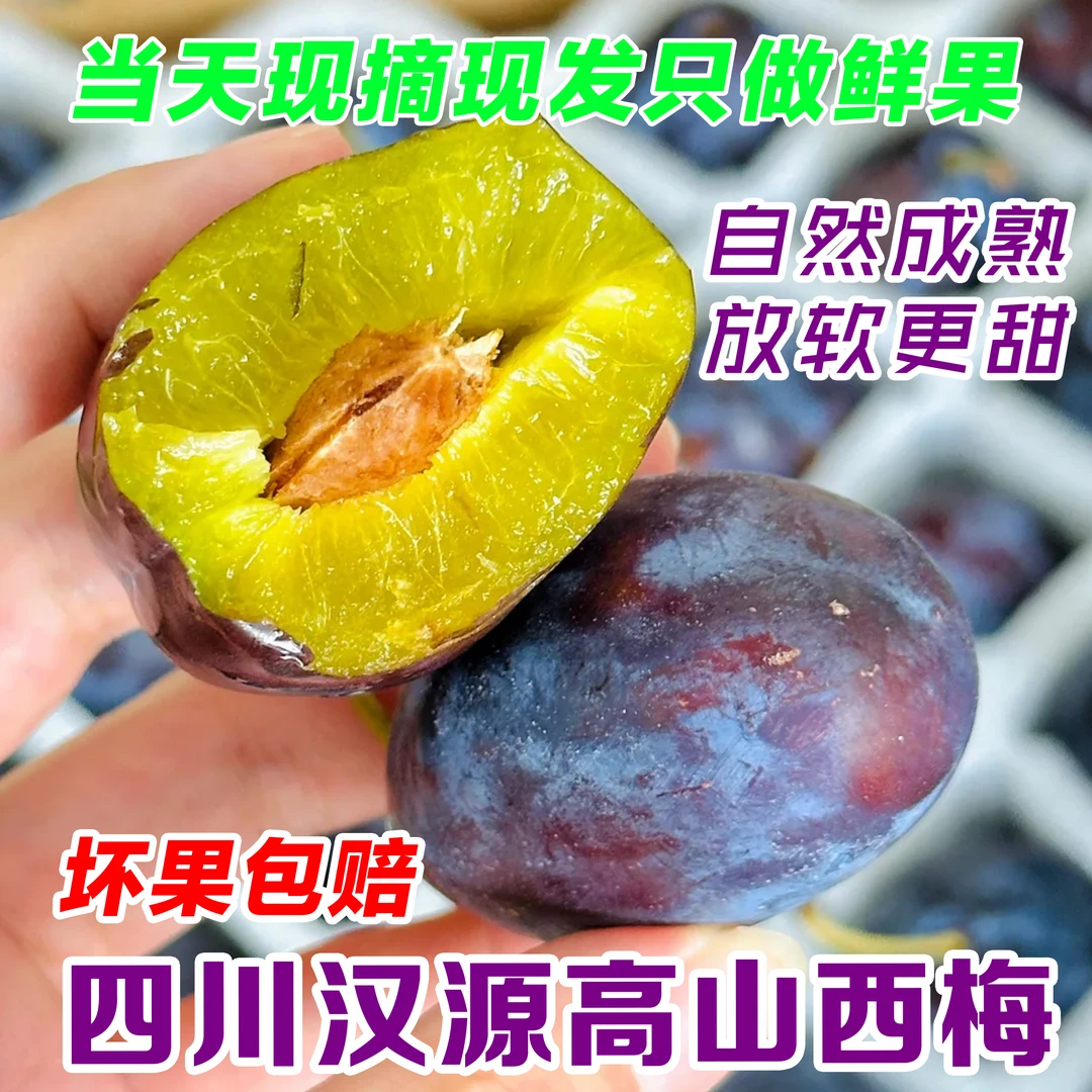 新鲜正宗西梅水果新鲜西梅孕妇宝宝辅食新鲜放软口感更好