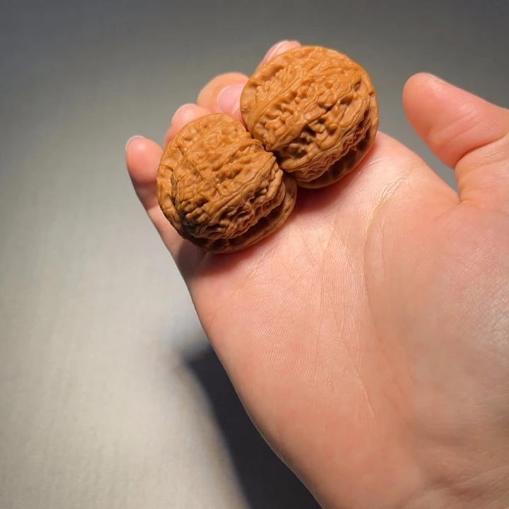 把件文玩核桃白狮子637