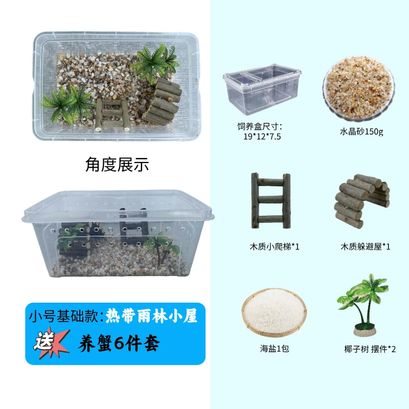 寄居蟹新手套盒雨林10只蟹+10个替换壳包活5只