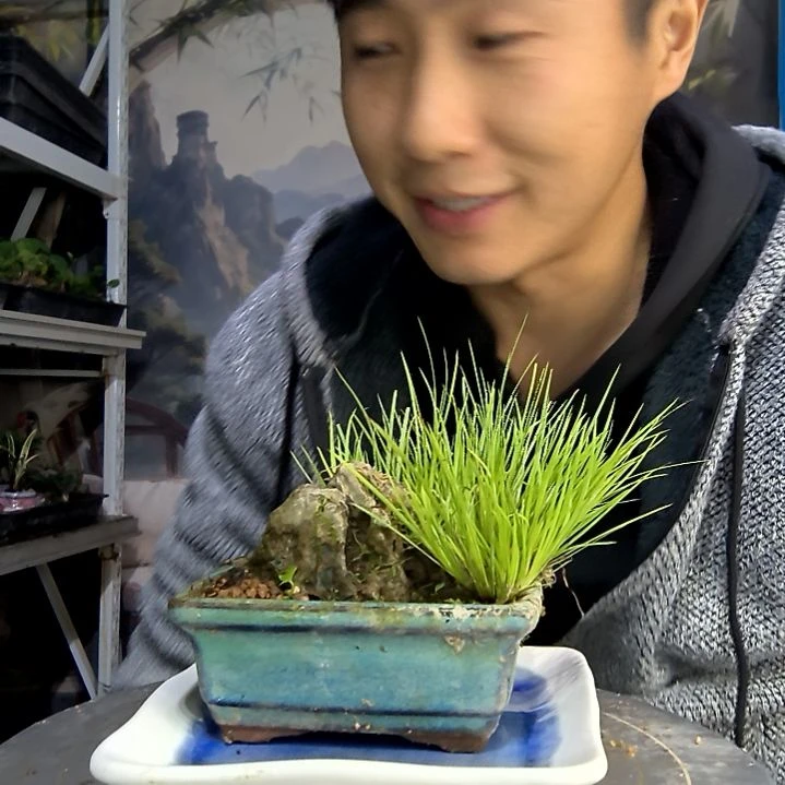 林***狂中青园艺一物一拍218