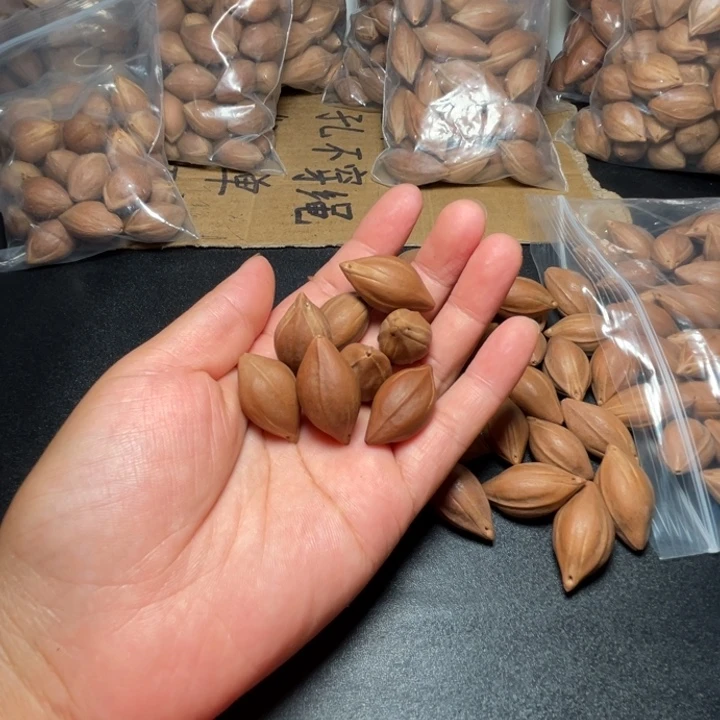 帝***谢猪牙手串/手链我是