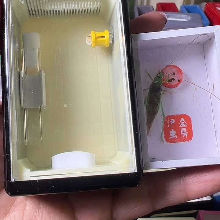 l***k蟋蟀哈哈哈哈哈哈哈哈哈哈哈哈